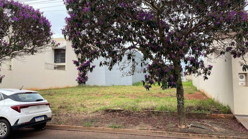 Terreno à venda no Recanto das Primaveras I: 