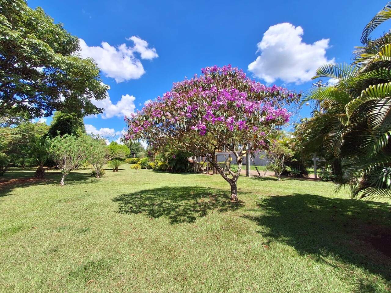 Terreno em condomínio à venda no Vitassay: 