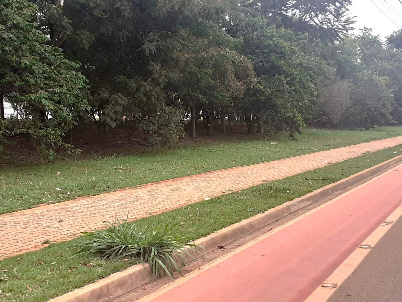 Terreno à venda no Portal Ville Azaleia: 