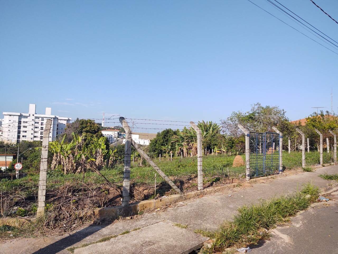 Terreno à venda no Jardim das Palmeiras: 