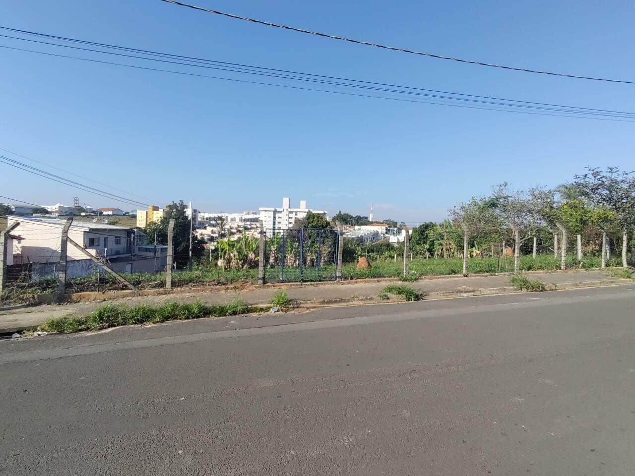 Terreno à venda no Jardim das Palmeiras: 