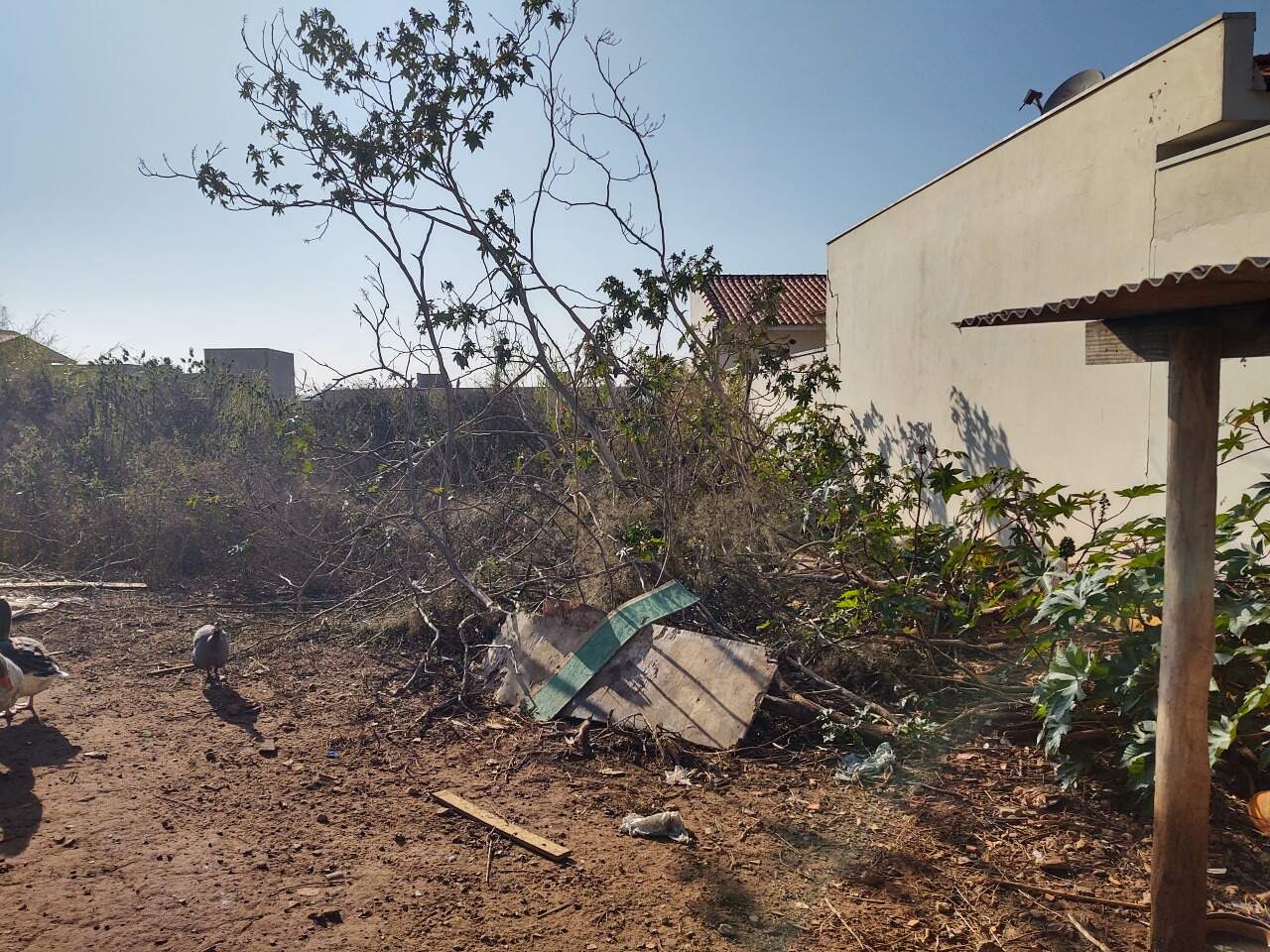 Terreno à venda no Jardim das Palmeiras: 