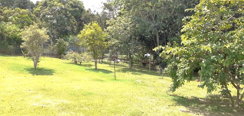 Chácara à venda no Chácara dos Pinhais: 