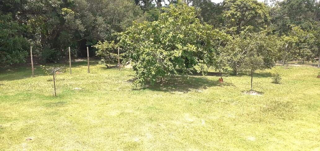 Chácara à venda no Chácara dos Pinhais: 