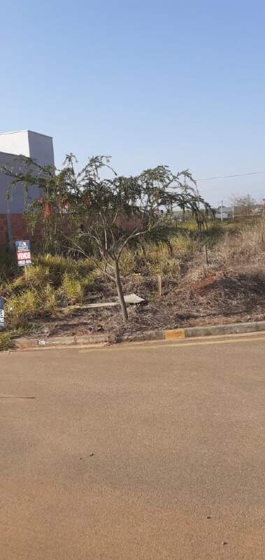 Terreno à venda no Parque Campestre I: 