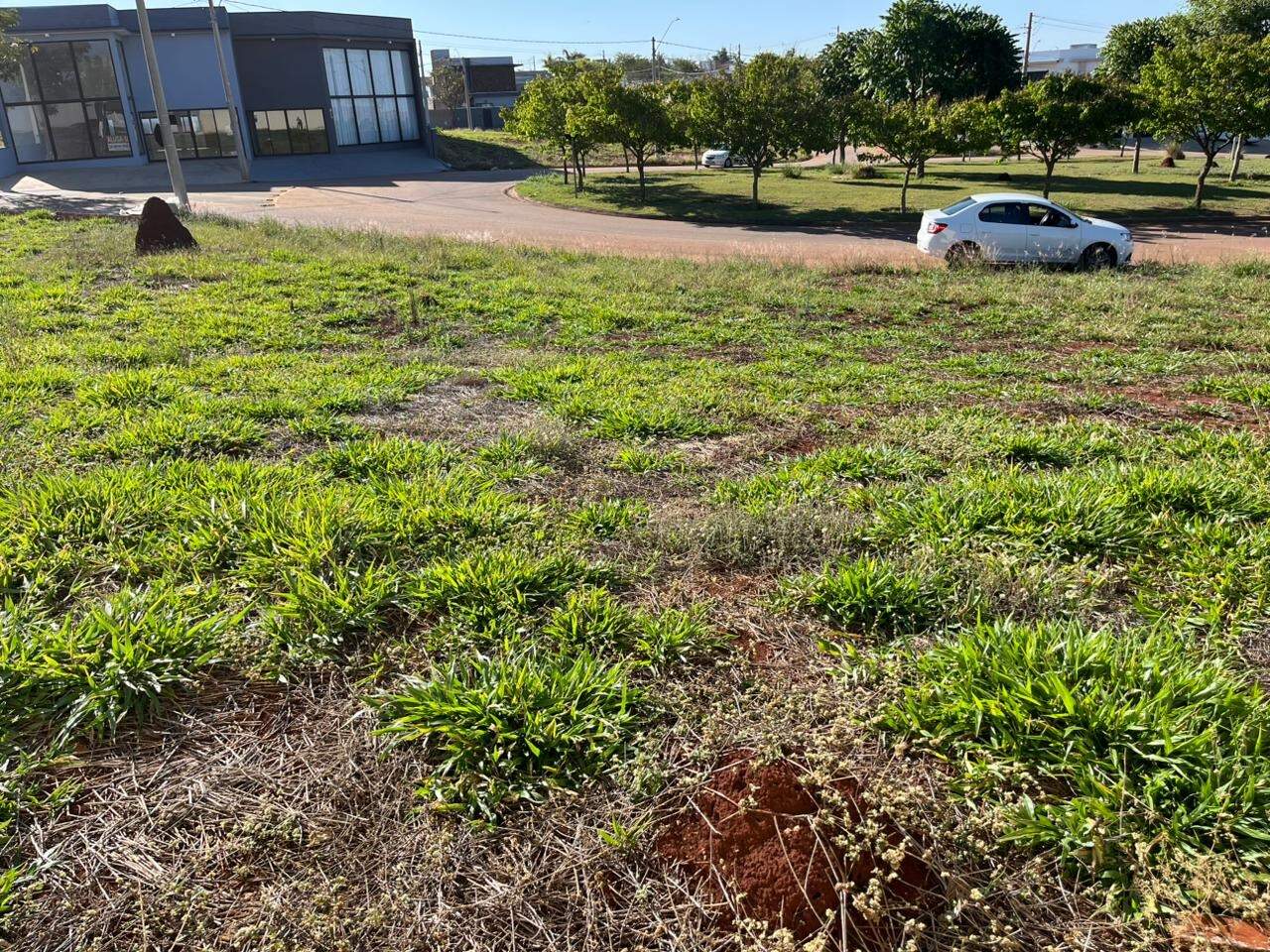 Terreno à venda no Portal Ville Jardins: 