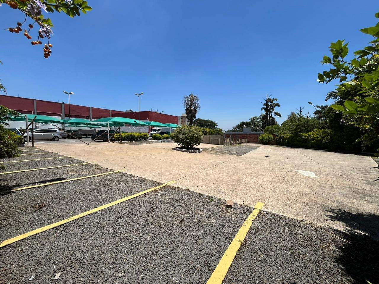 Terreno à venda no Centro: 