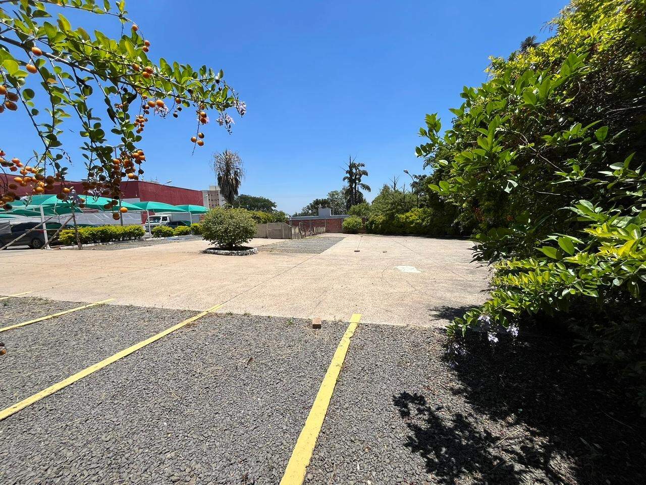 Terreno à venda no Centro: 