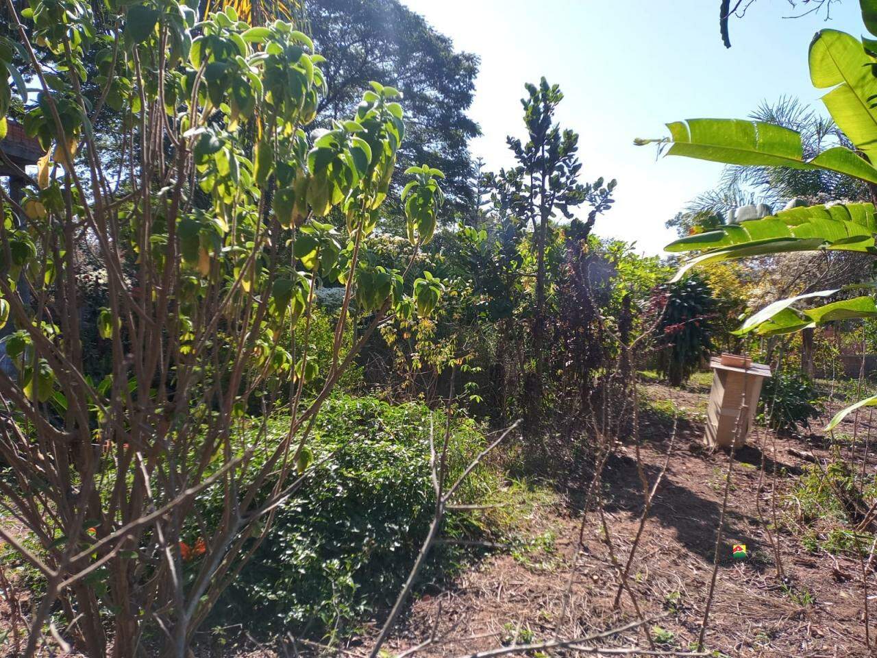 Chácara à venda no PLANALTO SERRA VERDE: 