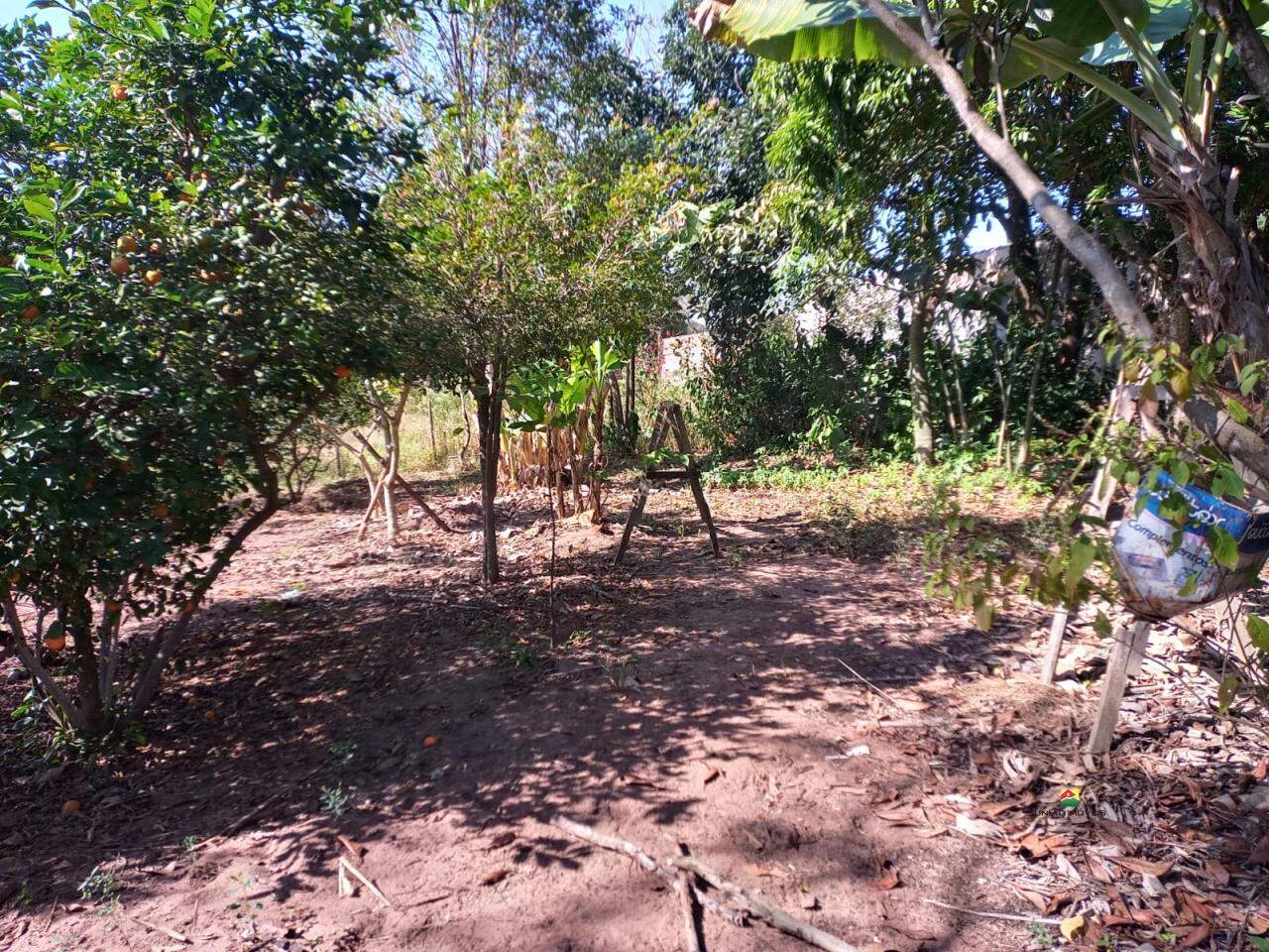 Chácara à venda no PLANALTO SERRA VERDE: 