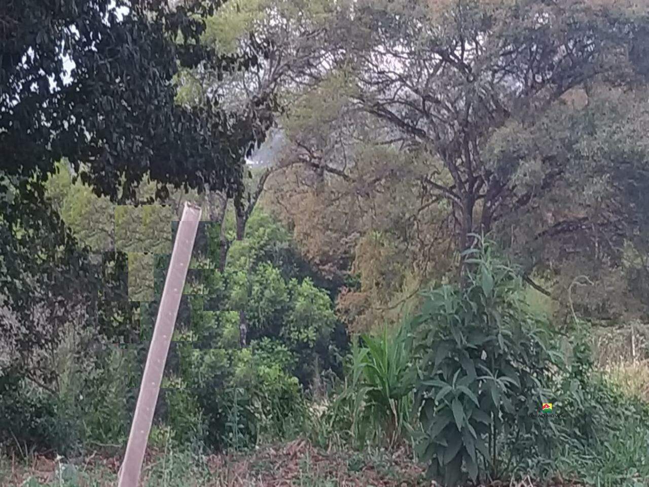 Terreno à venda no NOVA ANALANDIA: 
