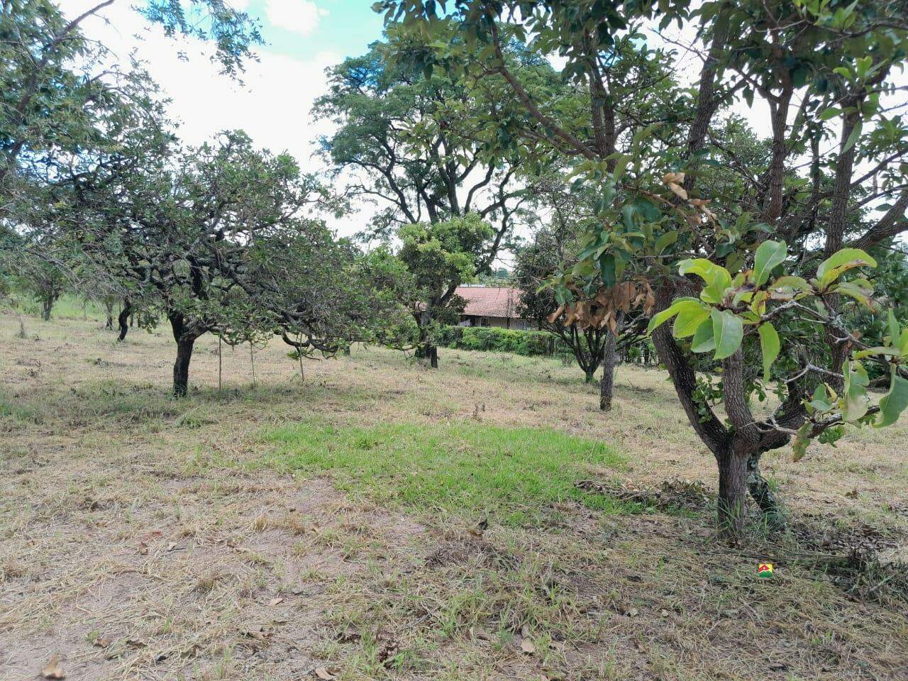 Terreno à venda no PLANALTO SERRA VERDE: 
