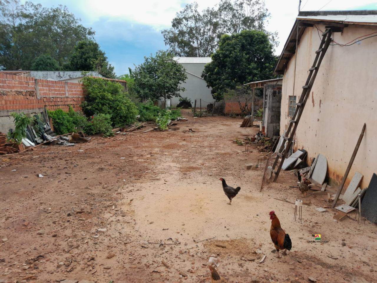 Terreno à venda no SANTA CRUZ: 