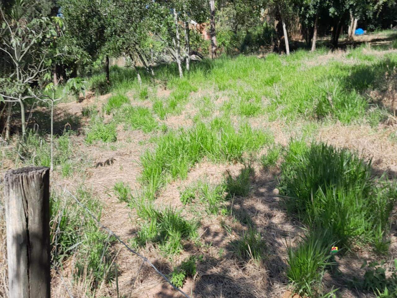 Terreno à venda no UBÁ: 