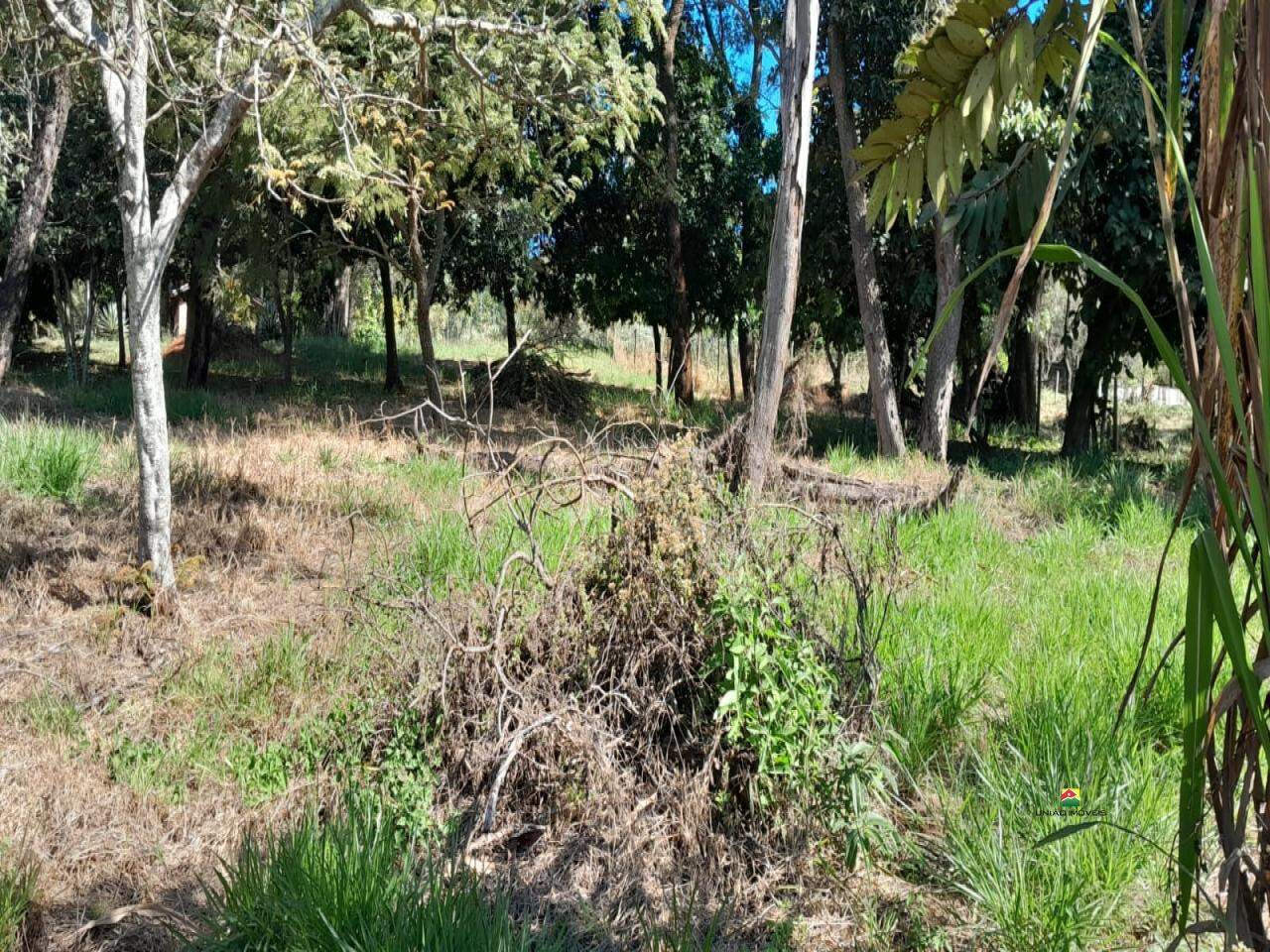 Terreno à venda no UBÁ: 