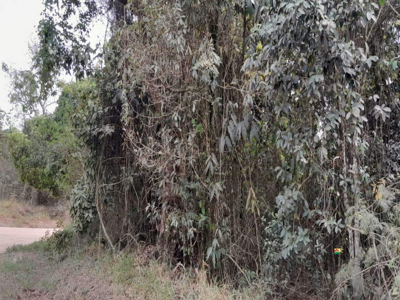 Terreno à venda no UBÁ: 