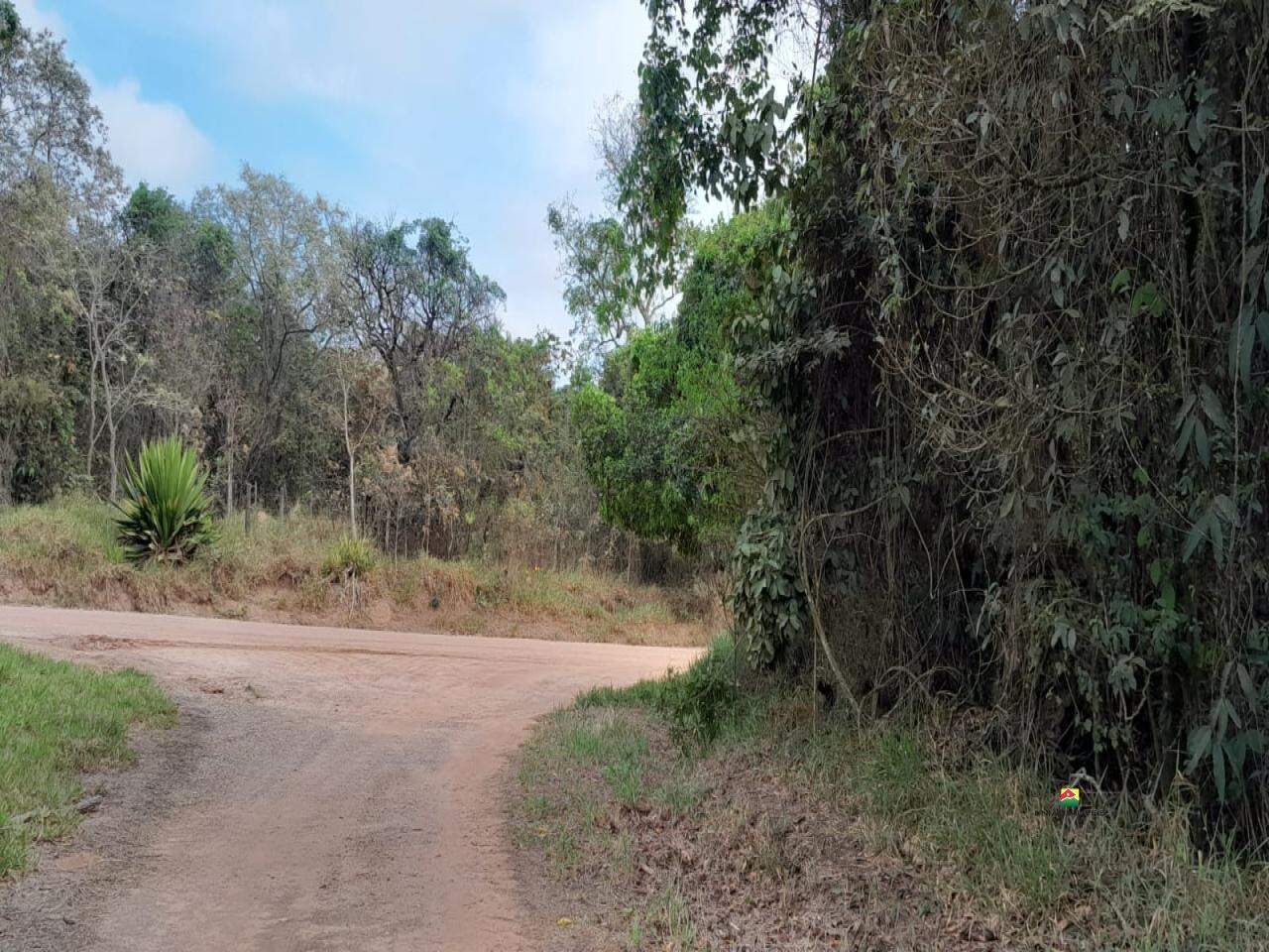 Terreno à venda no UBÁ: 