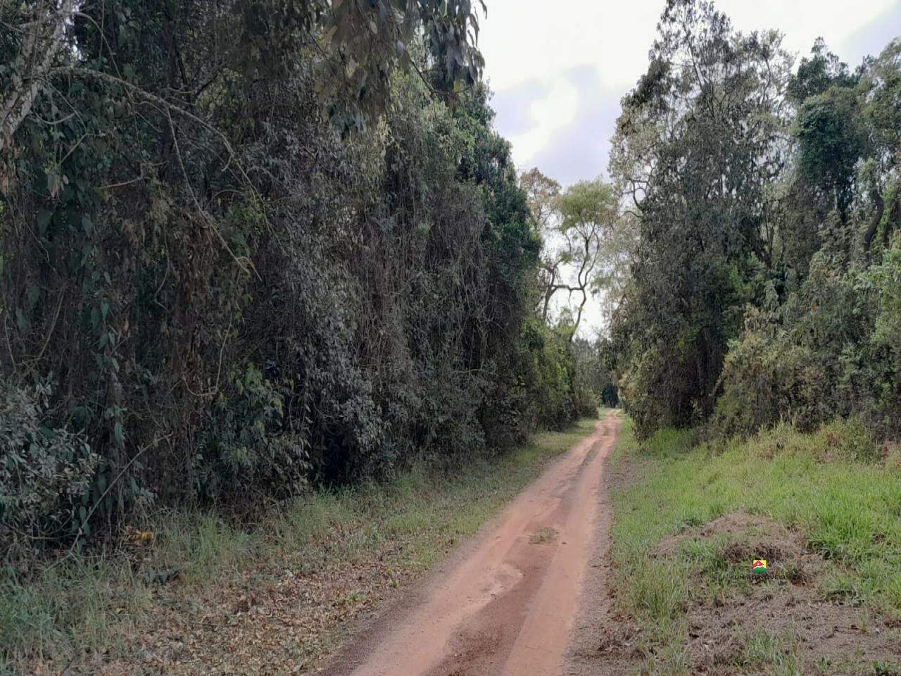 Terreno à venda no UBÁ: 