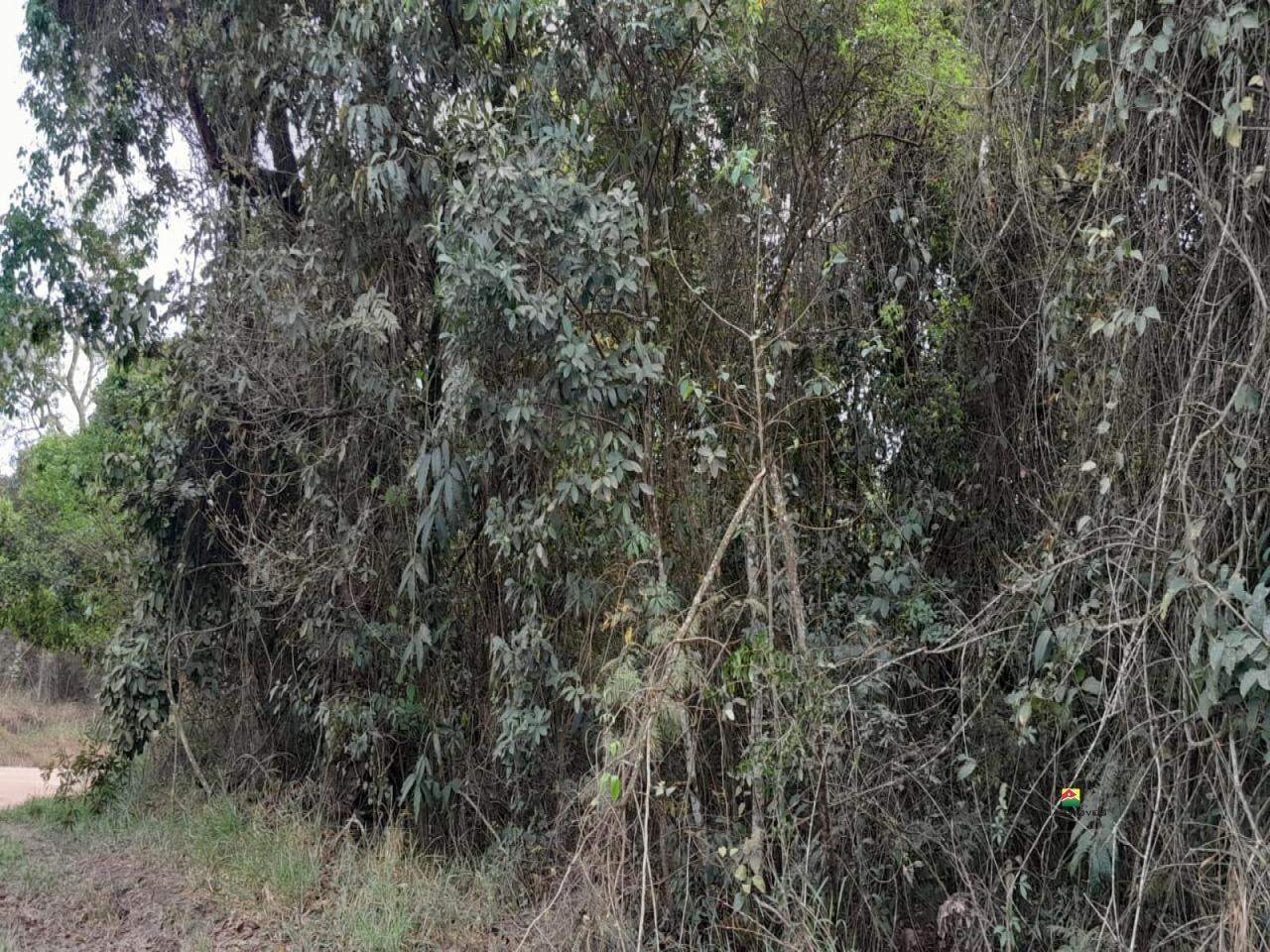 Terreno à venda no UBÁ: 