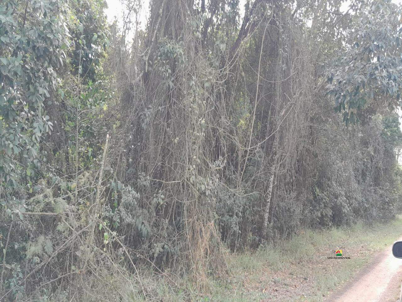 Terreno à venda no UBÁ: 