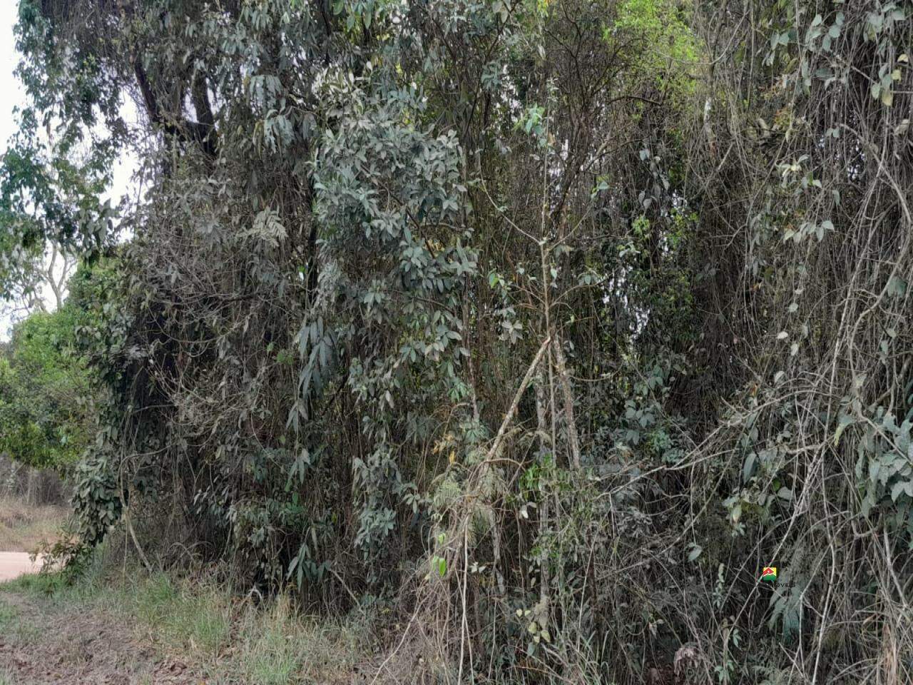 Terreno à venda no UBÁ: 