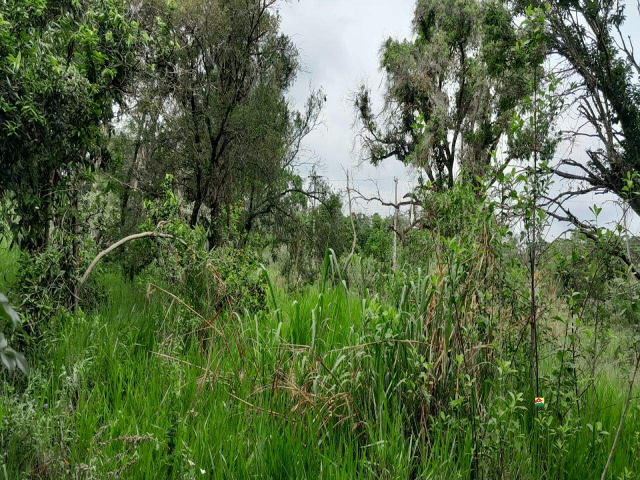 Chácara à venda no PLANALTO SERRA VERDE: 