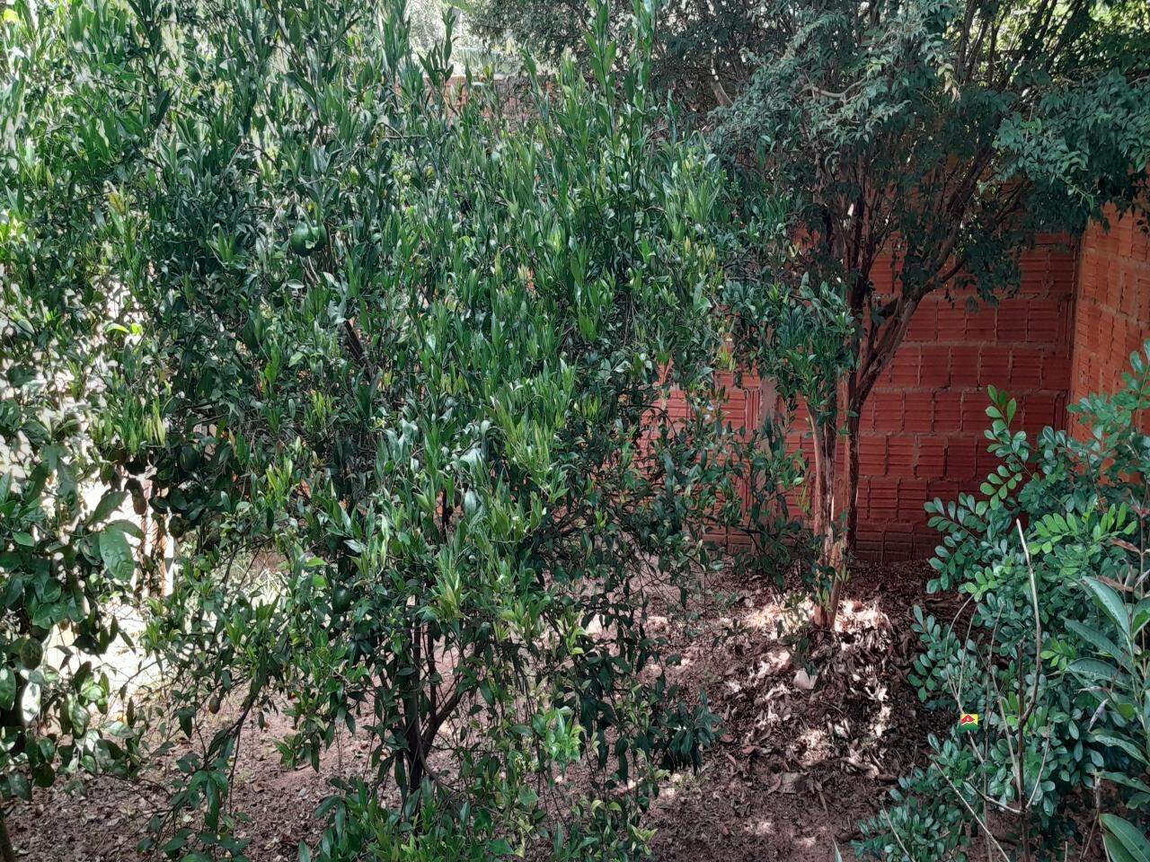 Casa à venda no JD. DOS EUCALIPTOS: 
