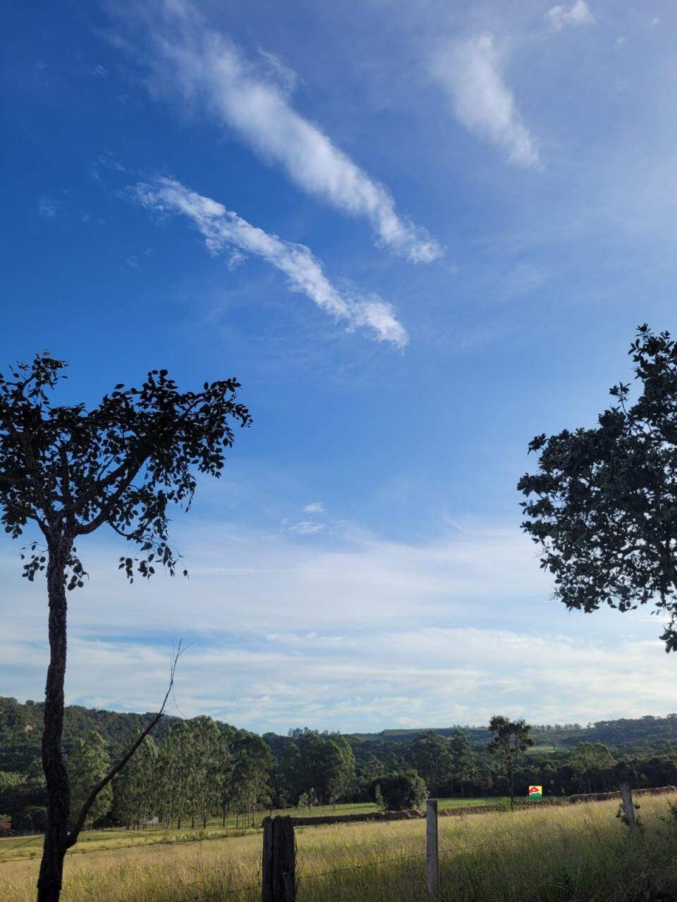 Imóvel Rural à venda no BURACO FRIO: 