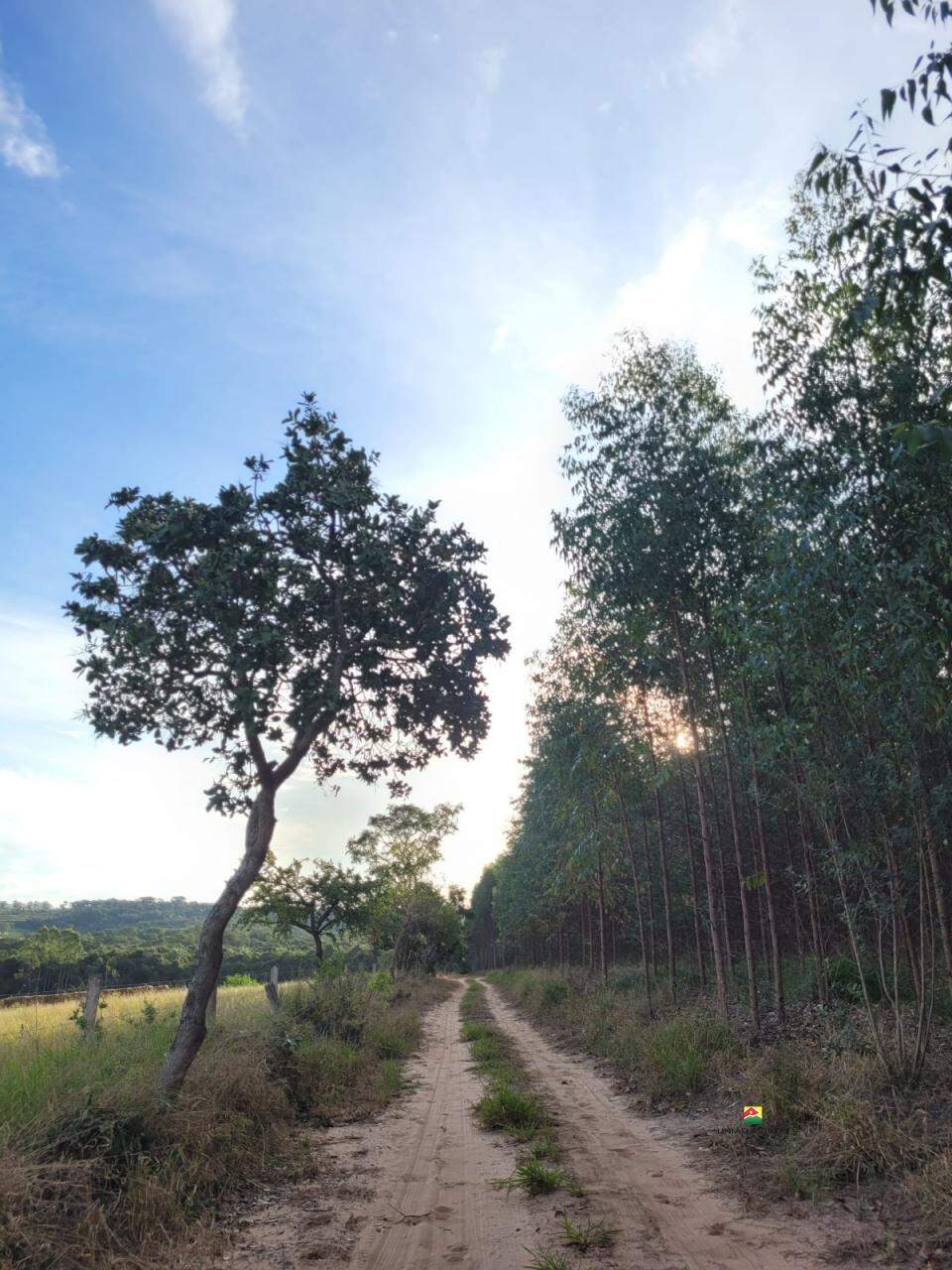 Imóvel Rural à venda no BURACO FRIO: 