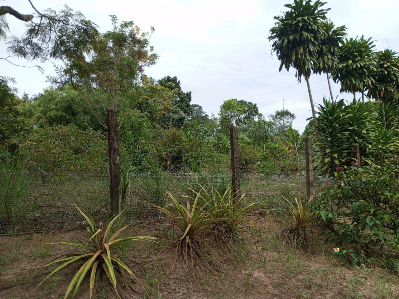 Terreno à venda no PLANALTO SERRA VERDE: 