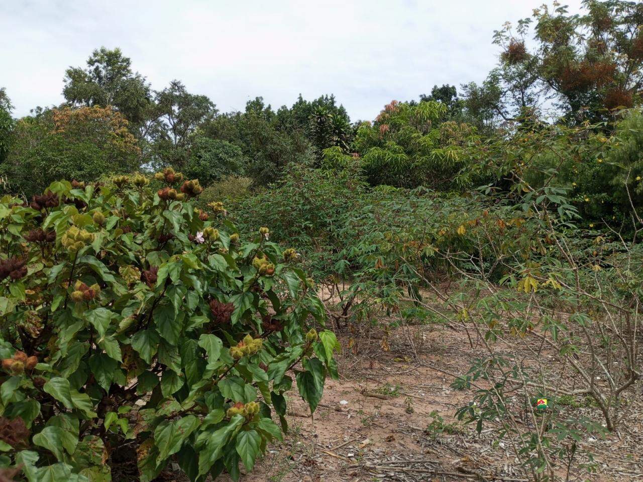 Terreno à venda no PLANALTO SERRA VERDE: 
