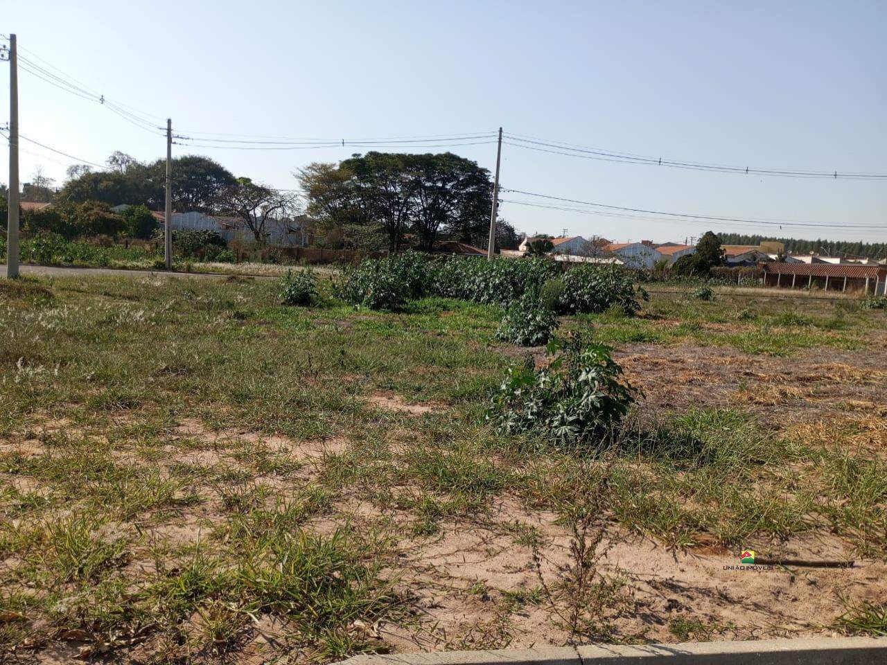 Terreno à venda no GOBBI II: 