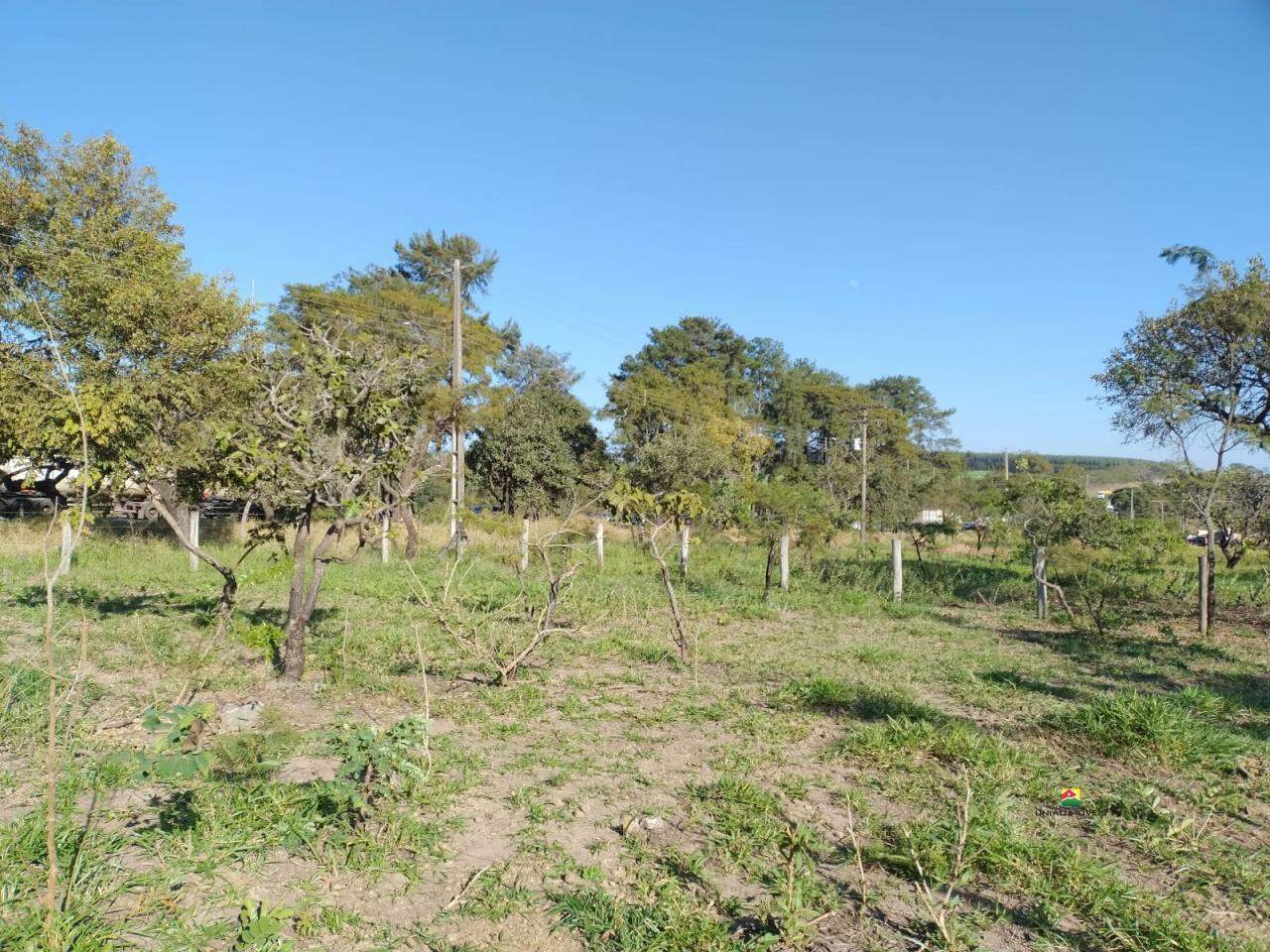 Chácara à venda no PLANALTO SERRA VERDE: 