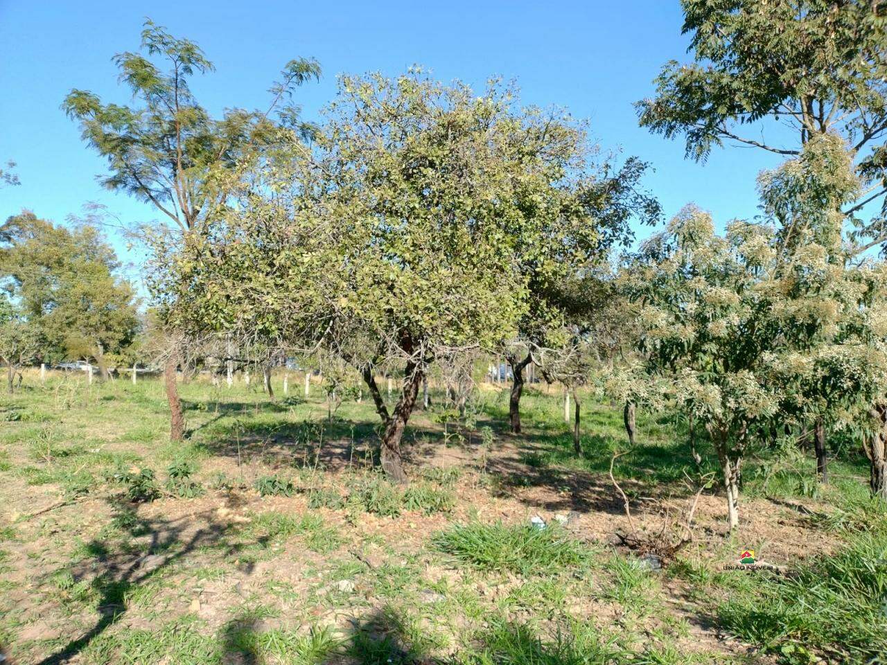 Chácara à venda no PLANALTO SERRA VERDE: 