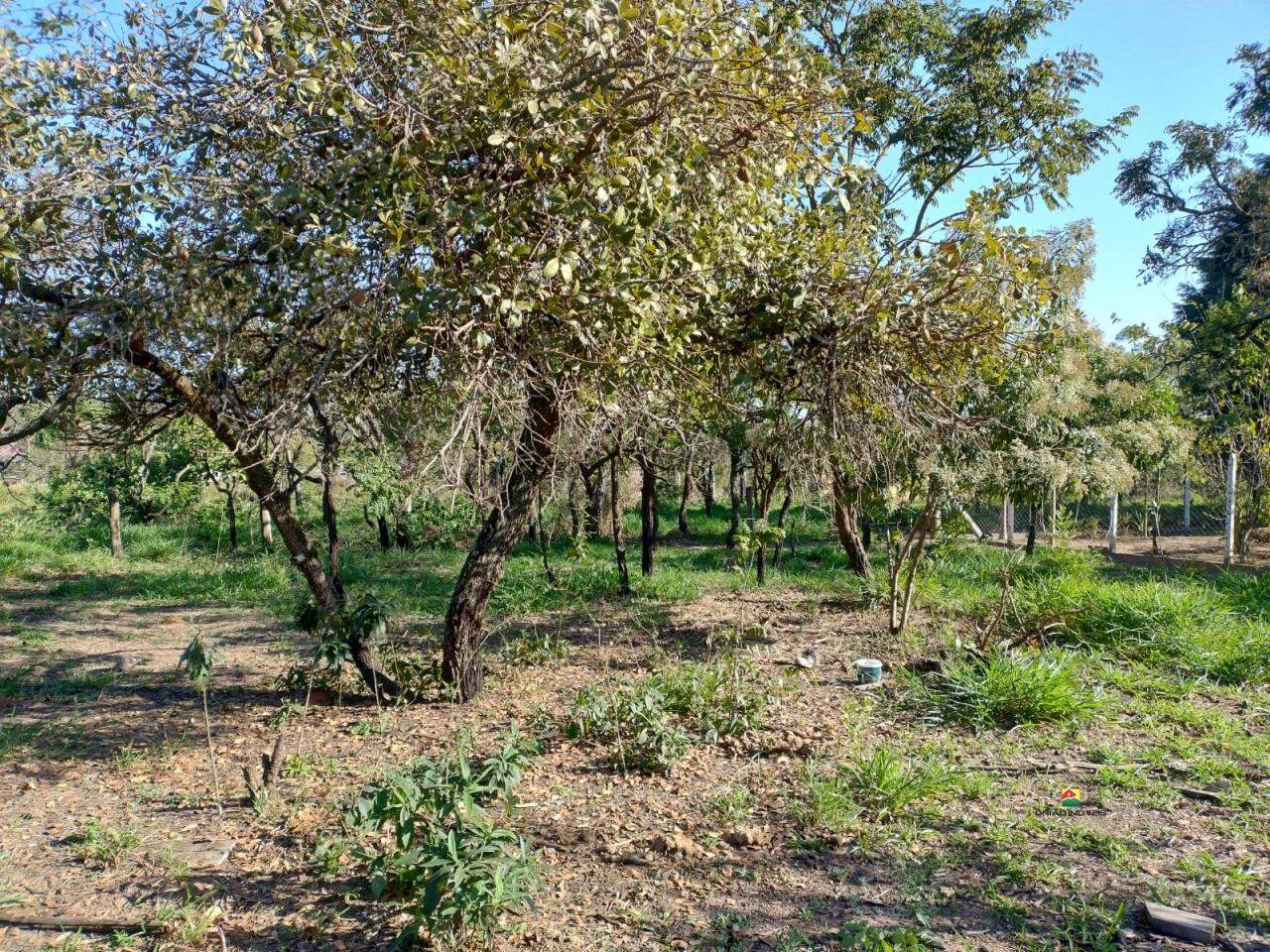Chácara à venda no PLANALTO SERRA VERDE: 