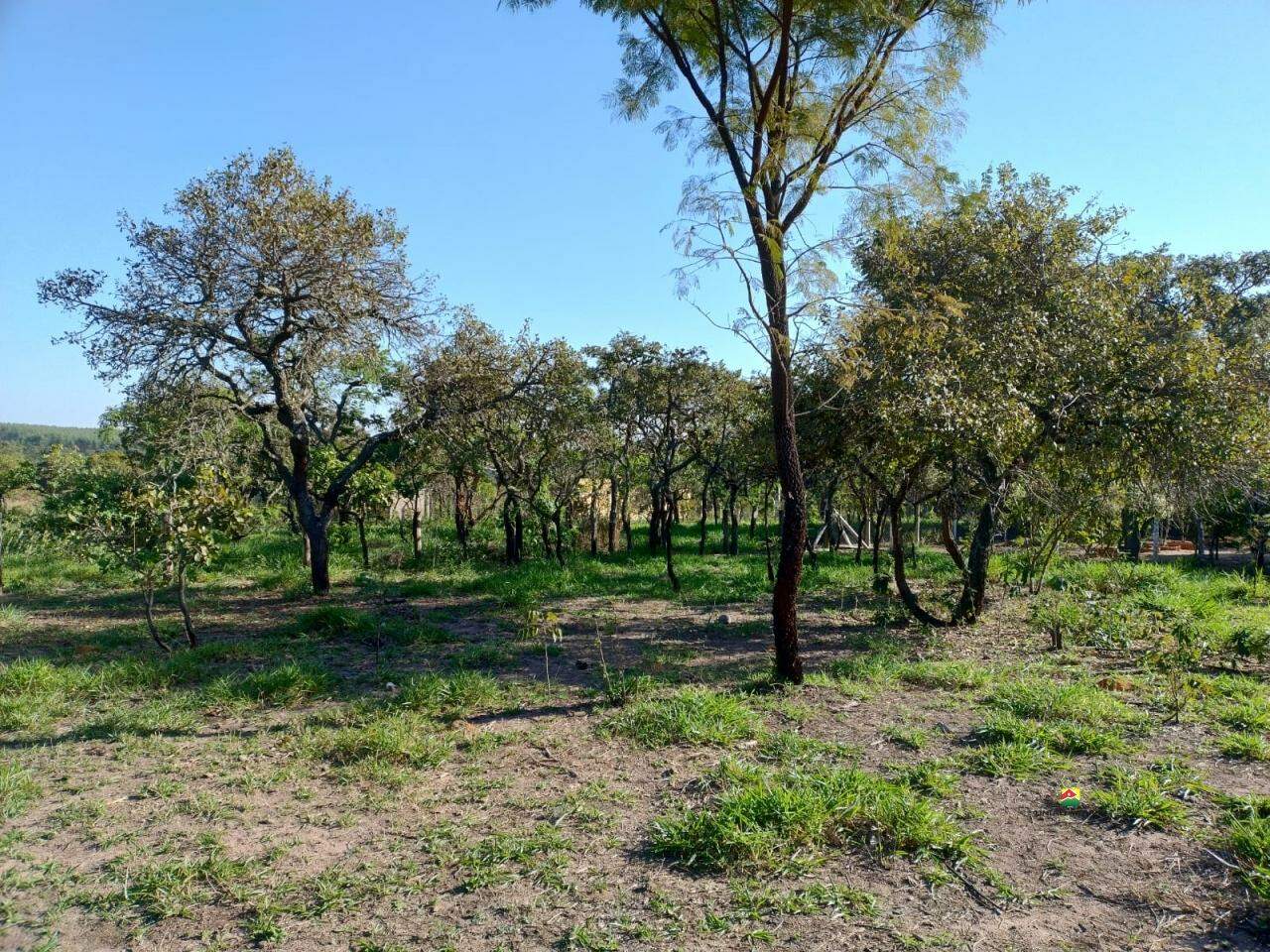 Chácara à venda no PLANALTO SERRA VERDE: 