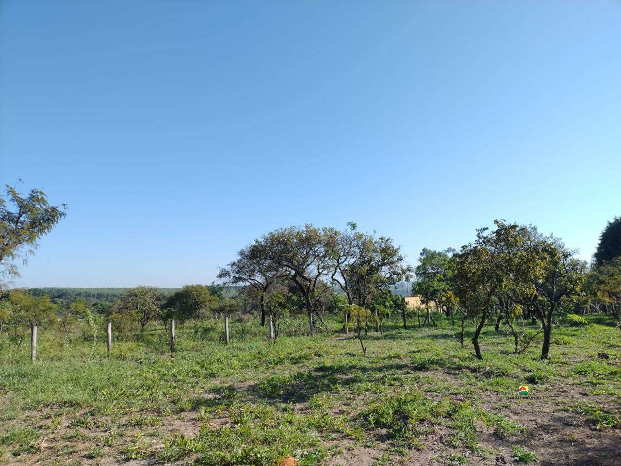 Chácara à venda no PLANALTO SERRA VERDE: 