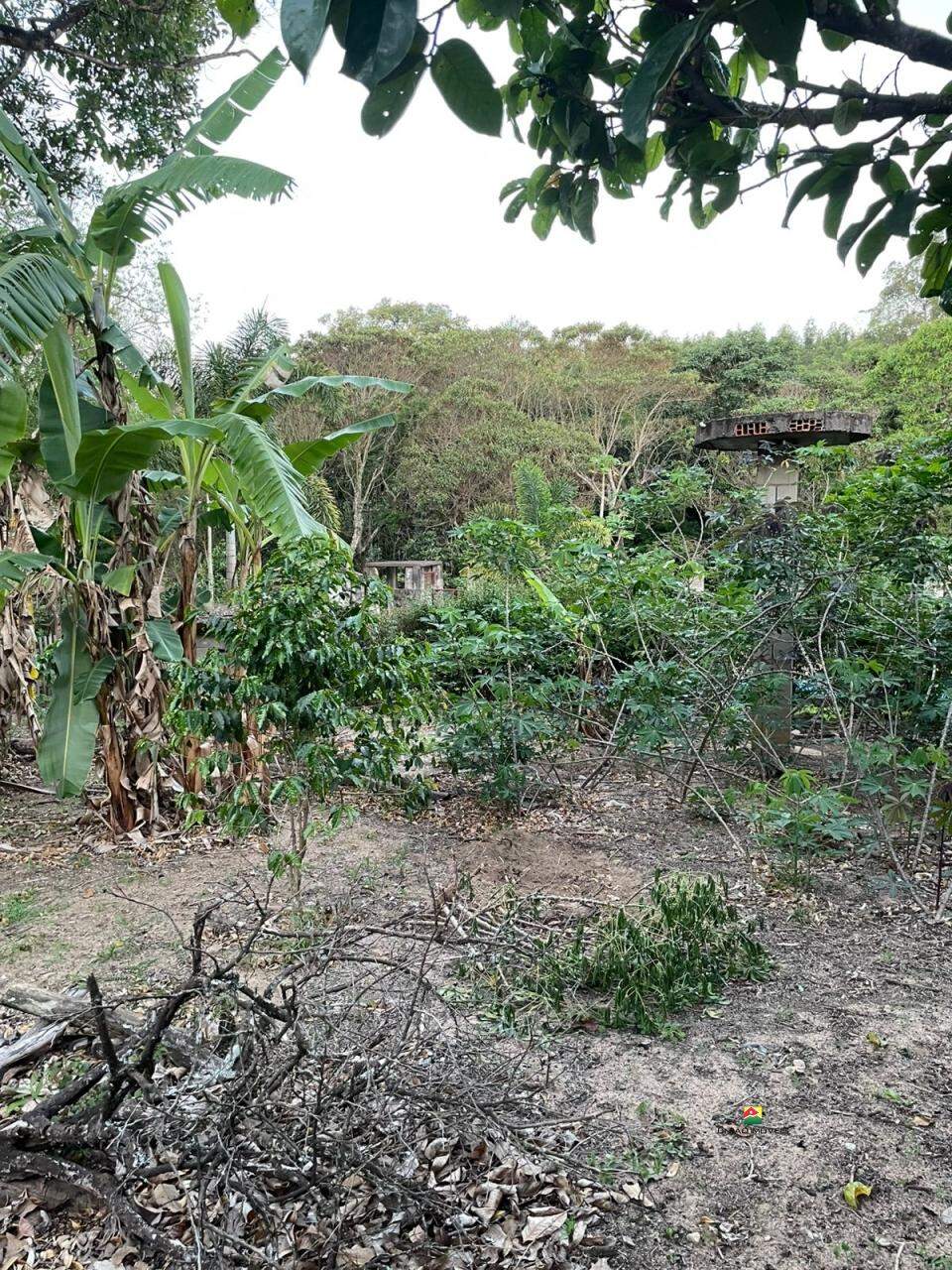 Casa para aluguel no UBÁ: 