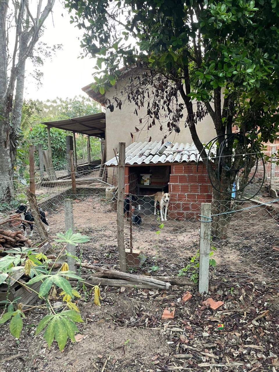 Casa para aluguel no UBÁ: 