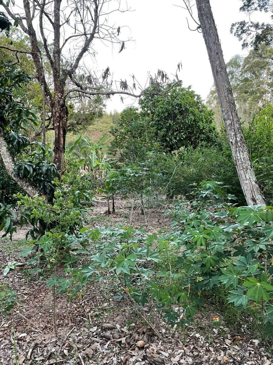 Casa para aluguel no UBÁ: 