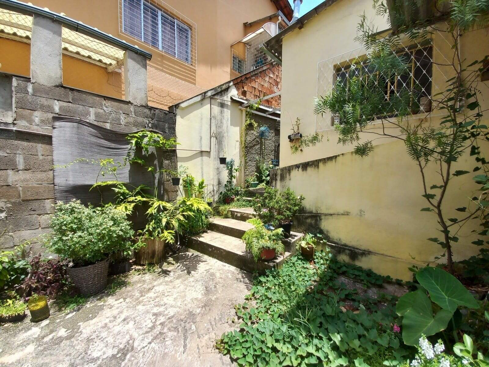 Casa à venda com 2 quartos, 300m² - Foto 3