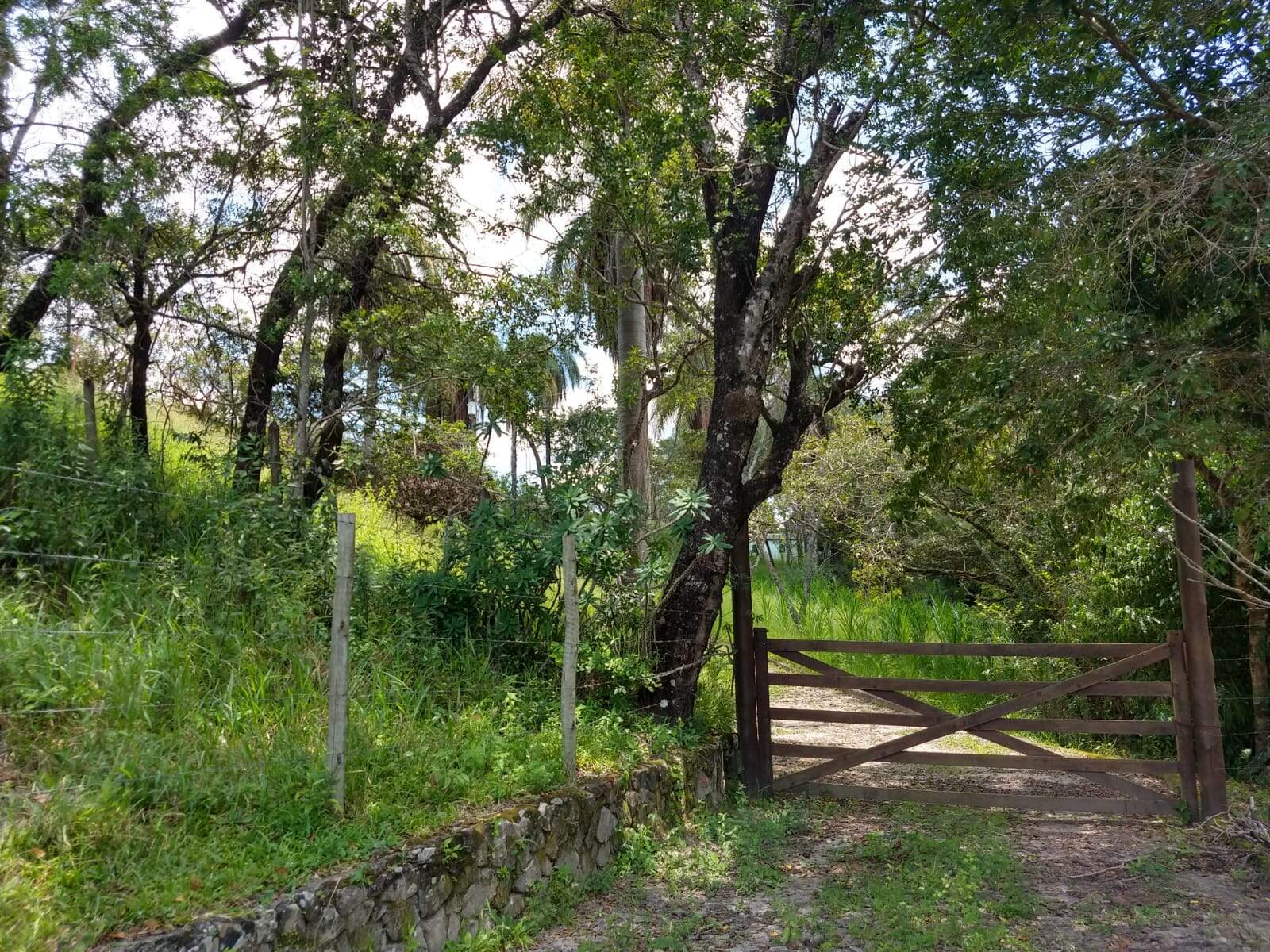 Fazenda à venda com 3 quartos, 96m² - Foto 10