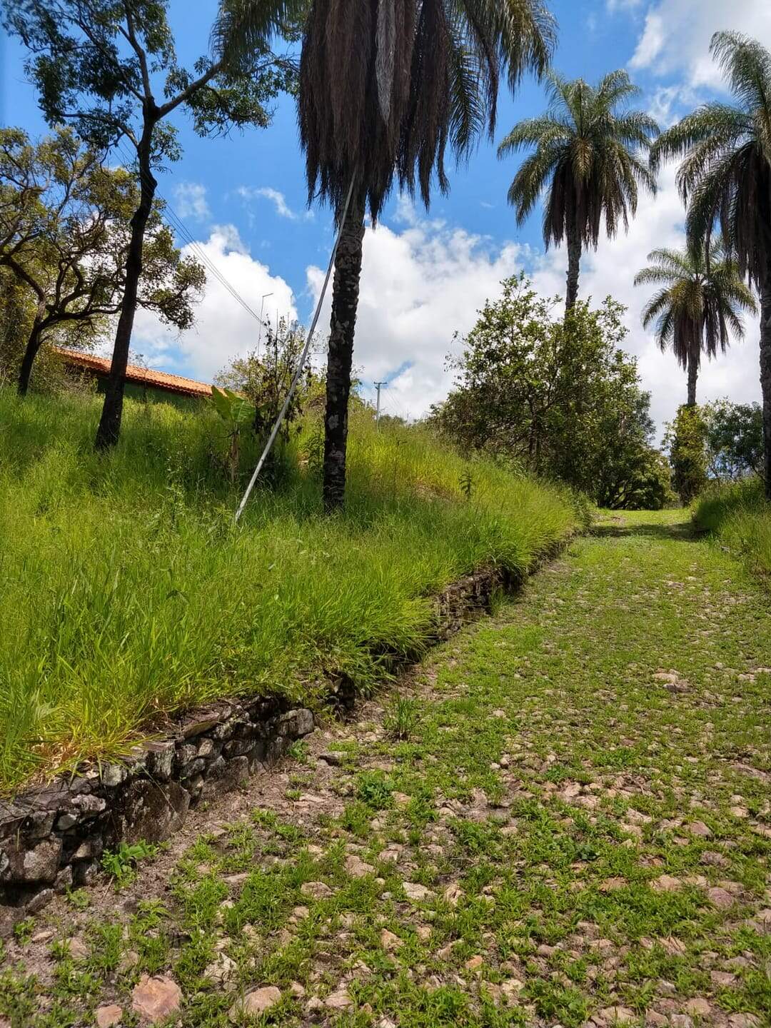 Fazenda à venda com 3 quartos, 96m² - Foto 11