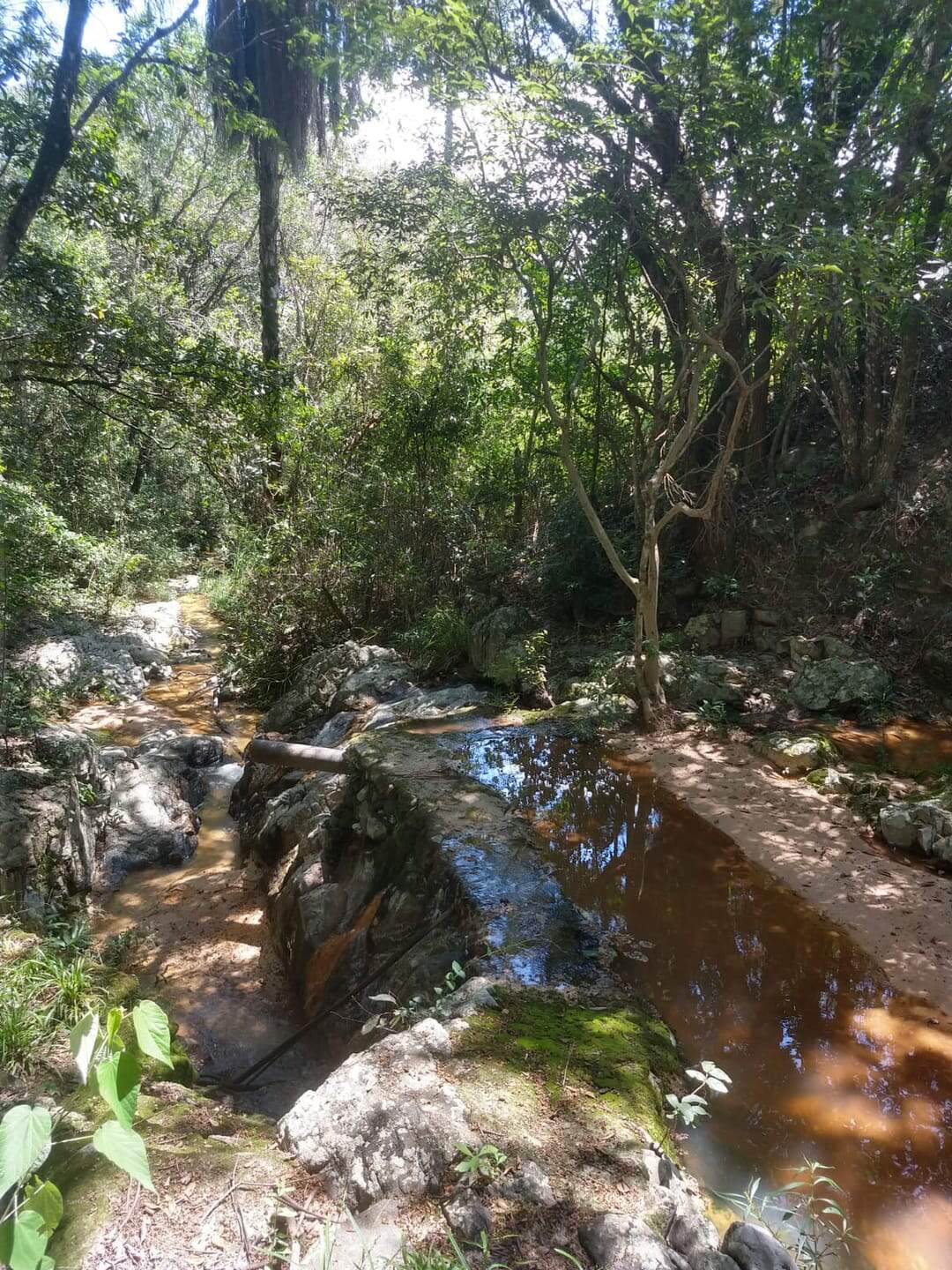 Fazenda à venda com 3 quartos, 96m² - Foto 7