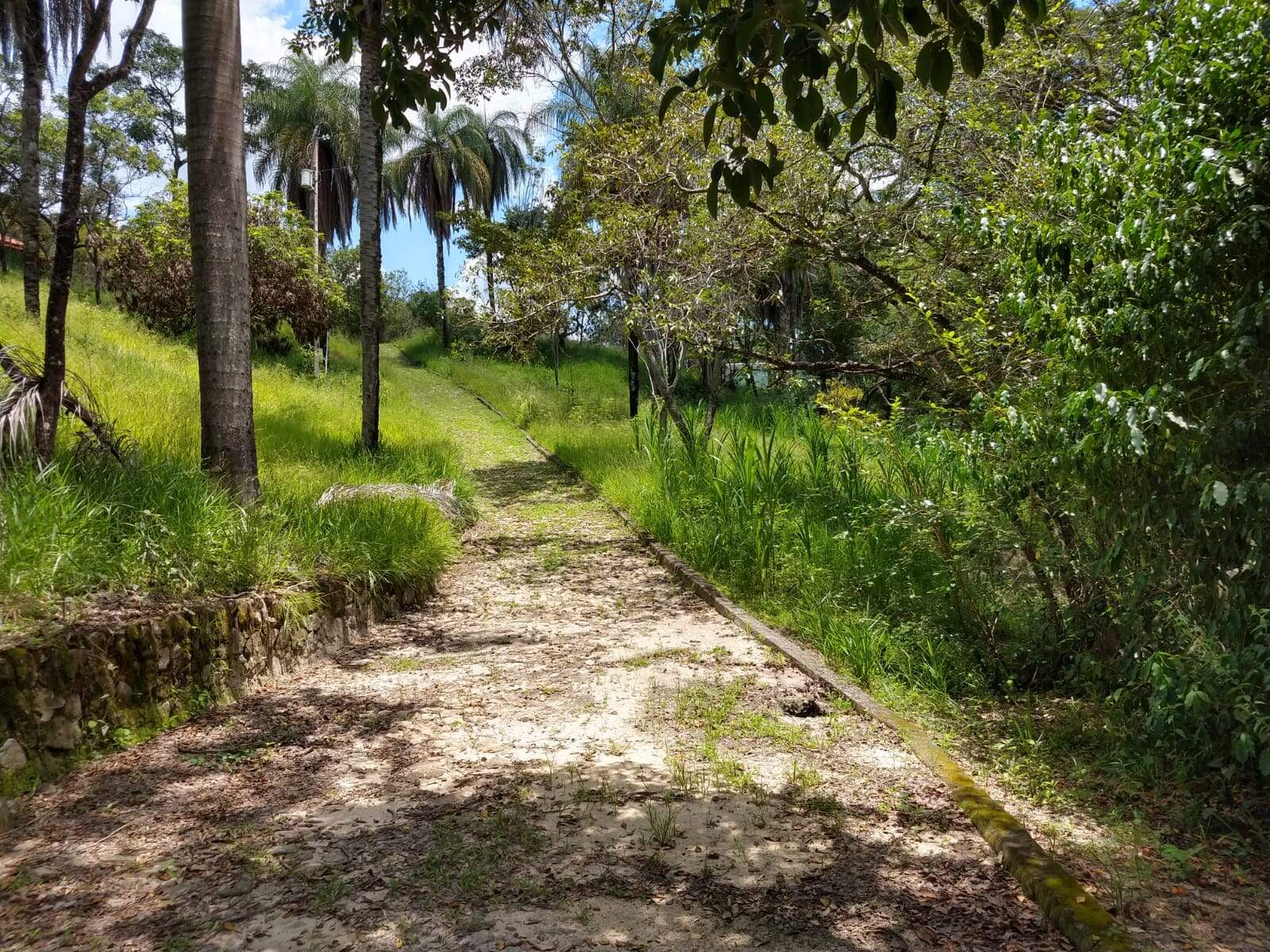 Fazenda à venda com 3 quartos, 96m² - Foto 28