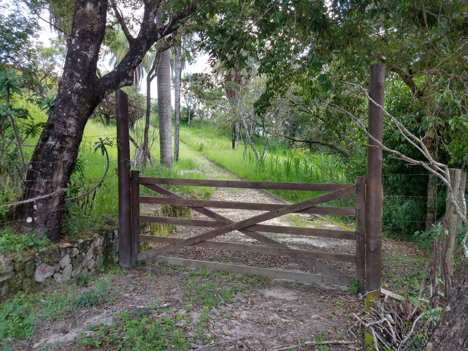 Fazenda à venda com 3 quartos, 96m² - Foto 30