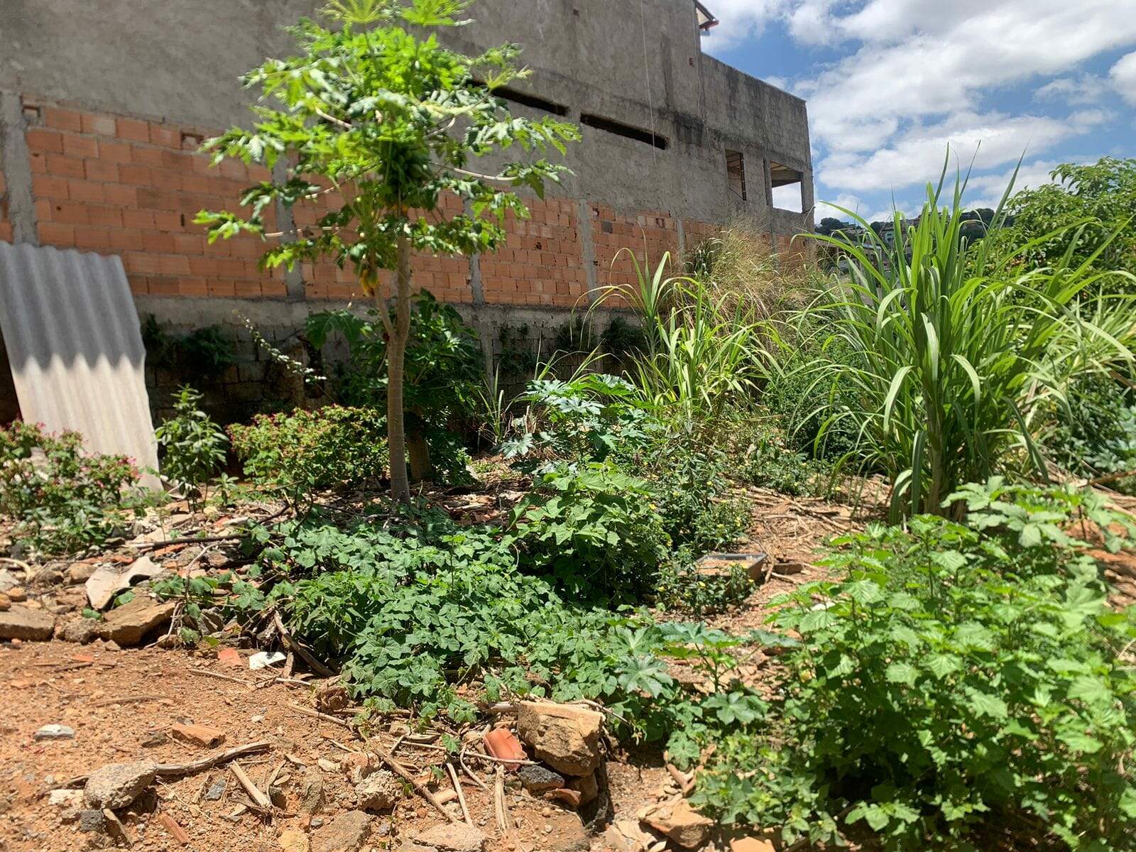 Terreno à venda, 200m² - Foto 2