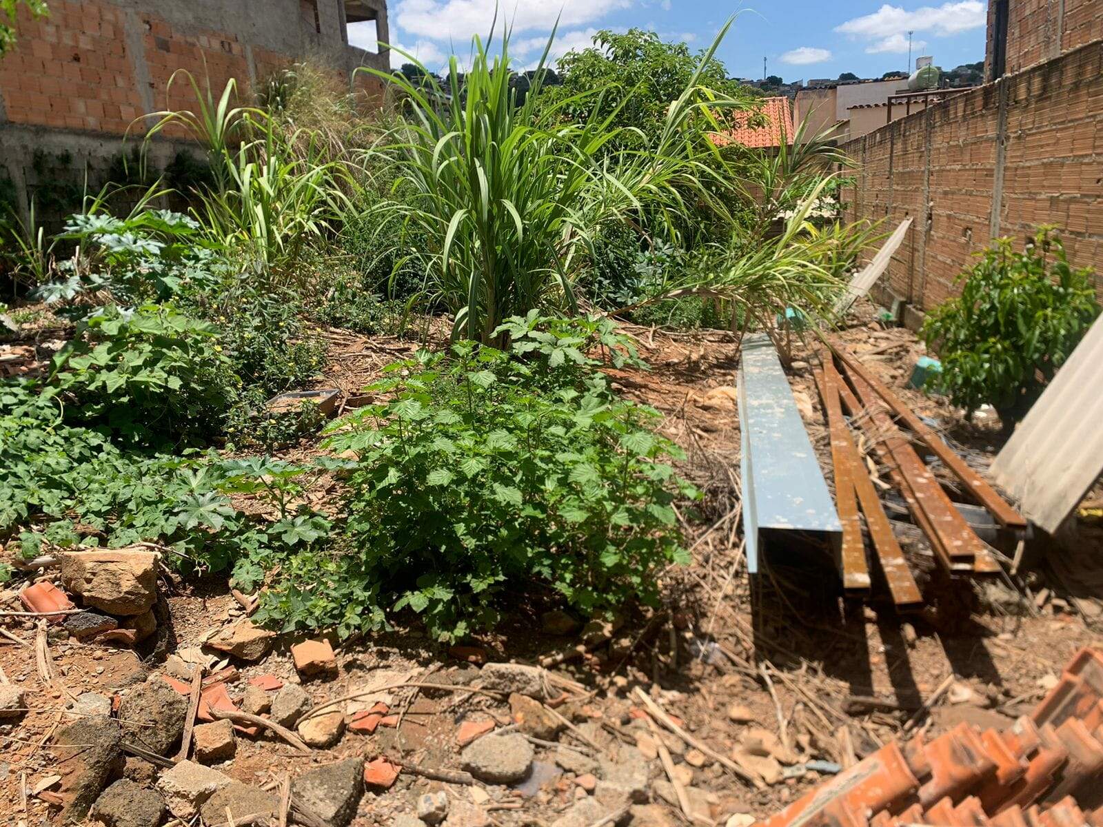 Terreno à venda, 200m² - Foto 3