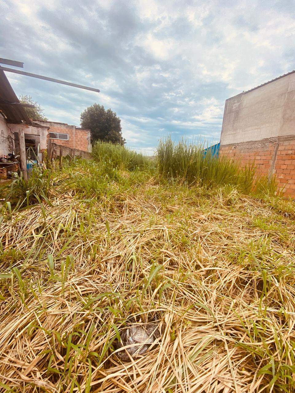 Terreno à venda, 400m² - Foto 7