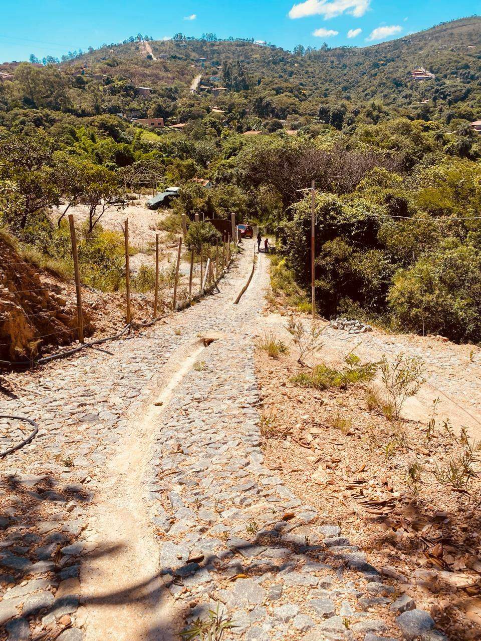 Terreno à venda, 2500m² - Foto 5